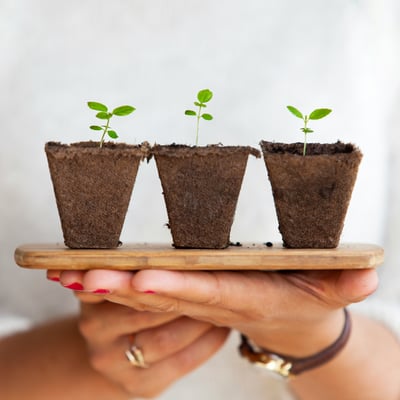 The Power of Positive Thinking: Make this your best year in business!